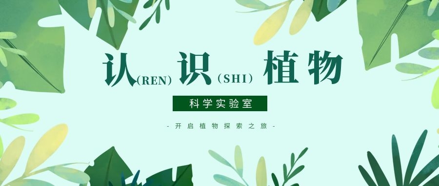 科学实验室之新年度精彩预告篇——开启植物探索之旅