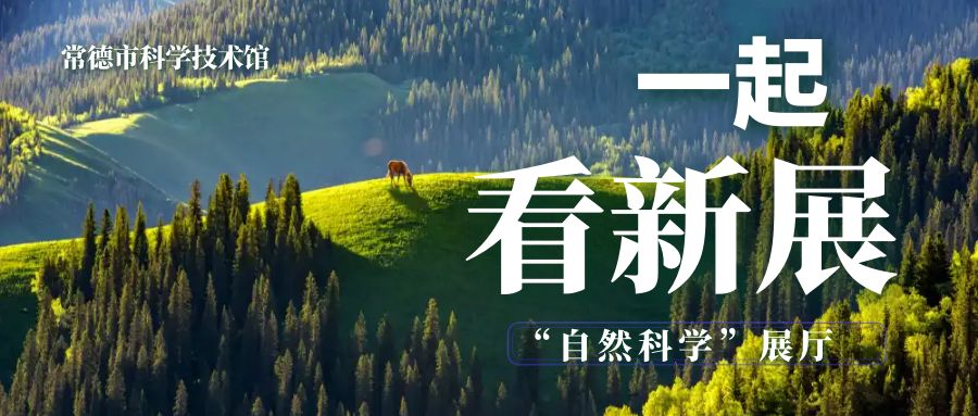 【一起看新展】常德湿地土壤分布图：你家附近是哪一种？