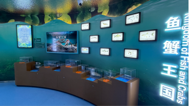 image.png image.png