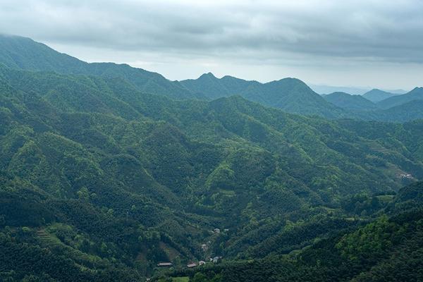 乌云界国家自然保护区 (1).jpg